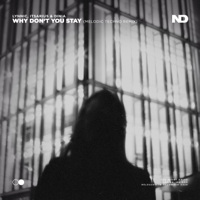 Why Don't You Stay (Melodic Techno Remix) - Lynnic, ItsArius &amp; Dinia Cover Art