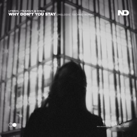 Why Don't You Stay (Melodic Techno Remix) Lynnic, ItsArius & Dinia