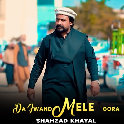 Da Jwand Mele Gora - Single