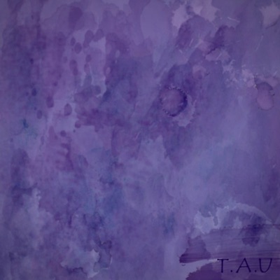 T.A.U (feat. sunny after rain) - Single