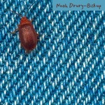 Noah Drury-Biskup - Drawbridge