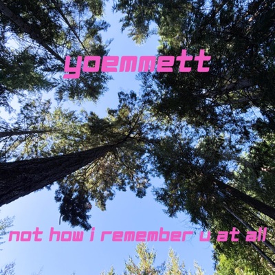 not how i remember u at all - Single