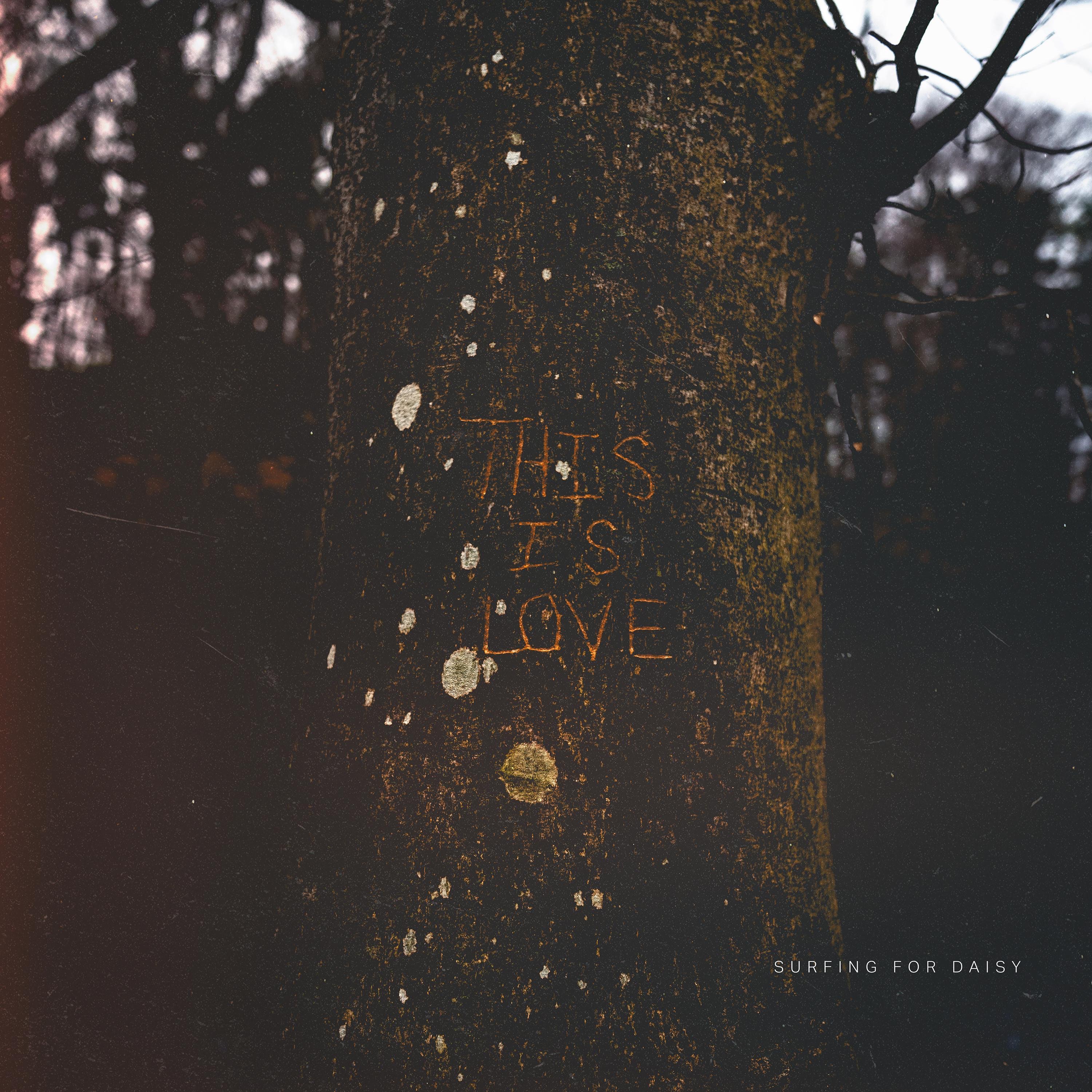 This Is Love - Single