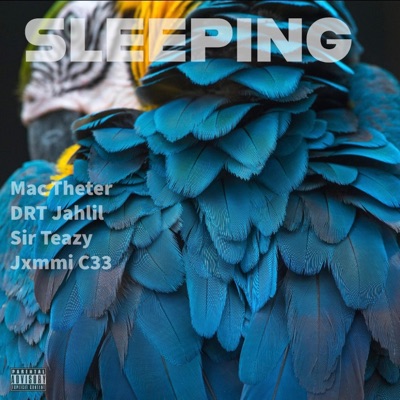 Sleeping (feat. Drt Jahlil, Sir. Teazy & Jxmmi C33) - Single