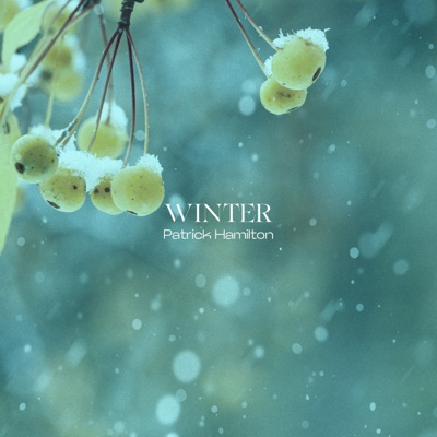 Winter: II. Largo (After Violin Concerto in F Minor, Op. 8 No. 4, RV 297) [Arr. for Piano by Patrick Hamilton] - Single