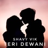 Teri Dewani - Single