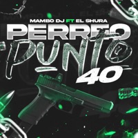 PERREO PUNTO 40 - Single - El Shura & Mambo DJ