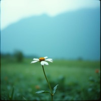 我们的爱 - Single - Sherry