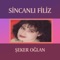 Habib - Sincanlı Filiz lyrics