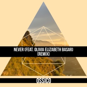 Never (feat. Olivia Elizabeth Basar) [Remix]