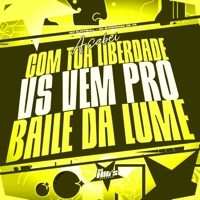 Acabei Com Tua Liberdade Vs Vem pro Baile da Lume - Single - Gc sucessada de vr & MC Elpitbull