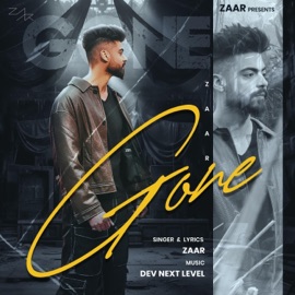Gone (feat. DEV NEXT LEVEL) Zaar