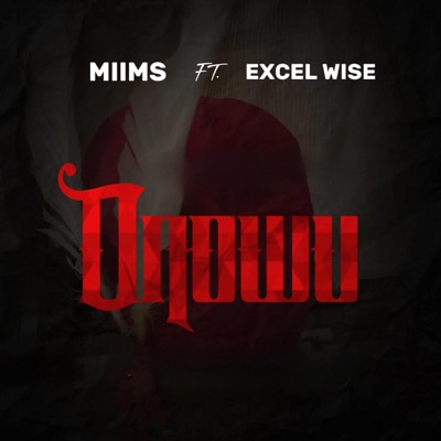 Onowu (feat. Excel Wise) - Single