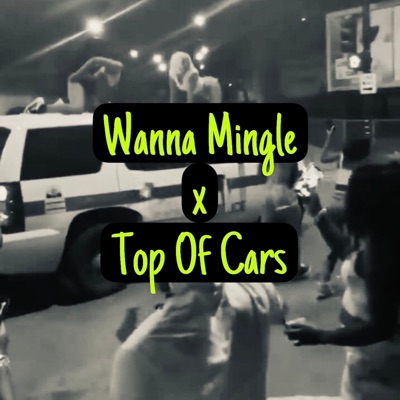 Wanna Mingle x Top Of Cars (feat. Deediephat Da Godmother & Dj Vic) - Single