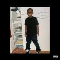 100 Days (feat. Szophia Nagasaka) - Single - Kraftykid