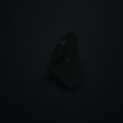 bambaskasin - Single