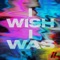 I Wish I Was (Extended Mix) artwork