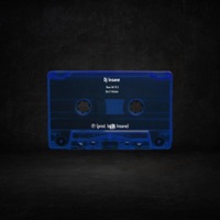 2 Tracks - Single - Dj Insane