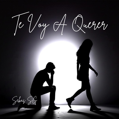 Te Voy A Querer - Single