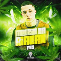 Melzinho na Macan - Single - Fey