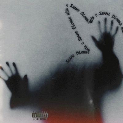 Shame BLongs with U - Single