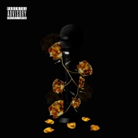 Gold Flowers - EP - Dezert Eagle