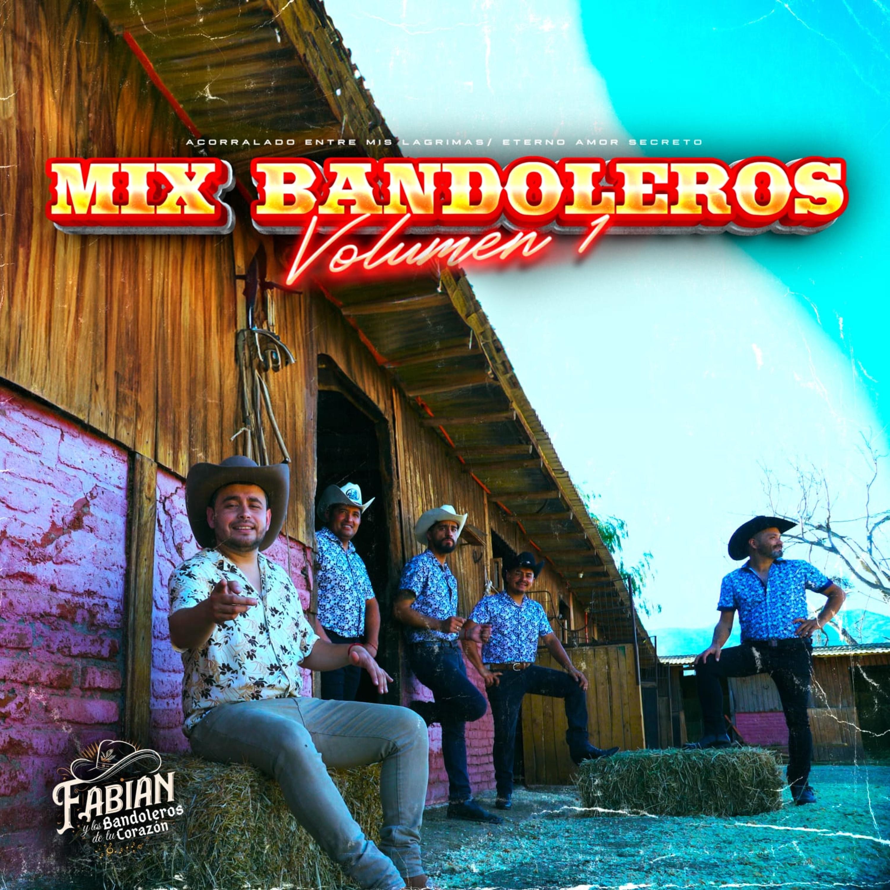 Mix Acorralado entre mis lágrimas - Mi eterno amor secreto - Single