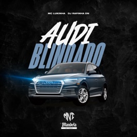 Audi Blindado DJ RAFINHA DN & MC Lukinha