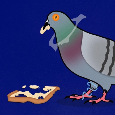 PIGEONS (feat. namebuddha) - Single