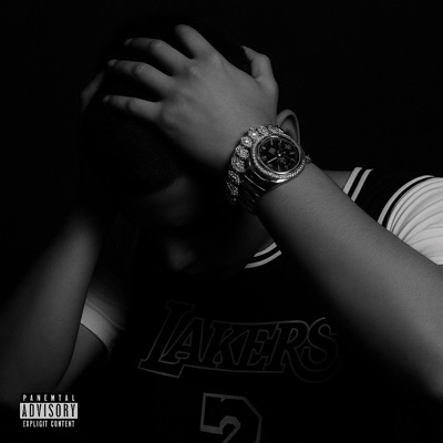 Niagara Falls (feat. vulgoneguem) - Single