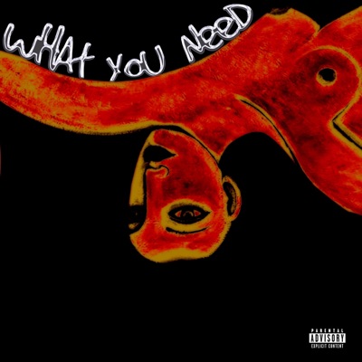 What You Need (feat. T1mmy & Kid Kwesi) - Single