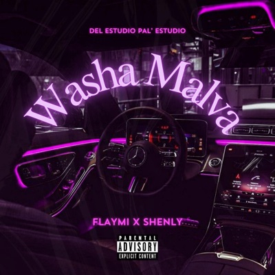 Washa Malva (feat. shenly) - Single