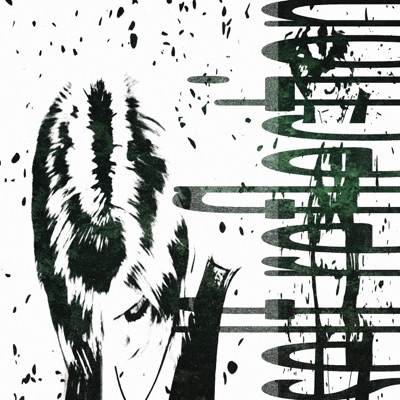 berettaz (feat. yametsu & RACCOONZ) - Single