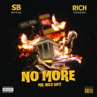 No More (Mr. Nice Guy) (feat. RichVeneno) - Single - DJ SB ROYAL