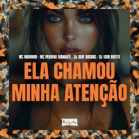 Ela Chamou Minha Atenção (feat. DJ Igor Britto) - Single - MC Pequeno Diamante, Mc Madimbu & DJ DAVI DOGDOG