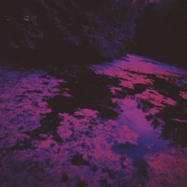 She Say That She Love Me:/ (feat. Funeral) 22bk