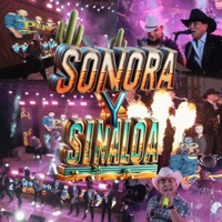 Sonora y Sinaloa (feat. Perdidos De Sinaloa) - Single - Tambora Ritmo Express