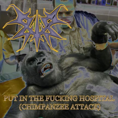 Put In the Fucking Hospital (Chimpanzee Attack) - Single