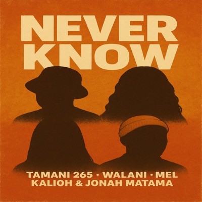 Never Know - Single