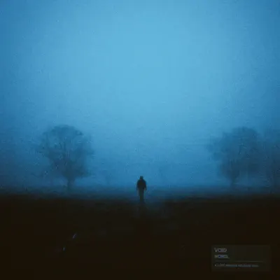 nord adlı sanatçının void - Single albümünü dinle