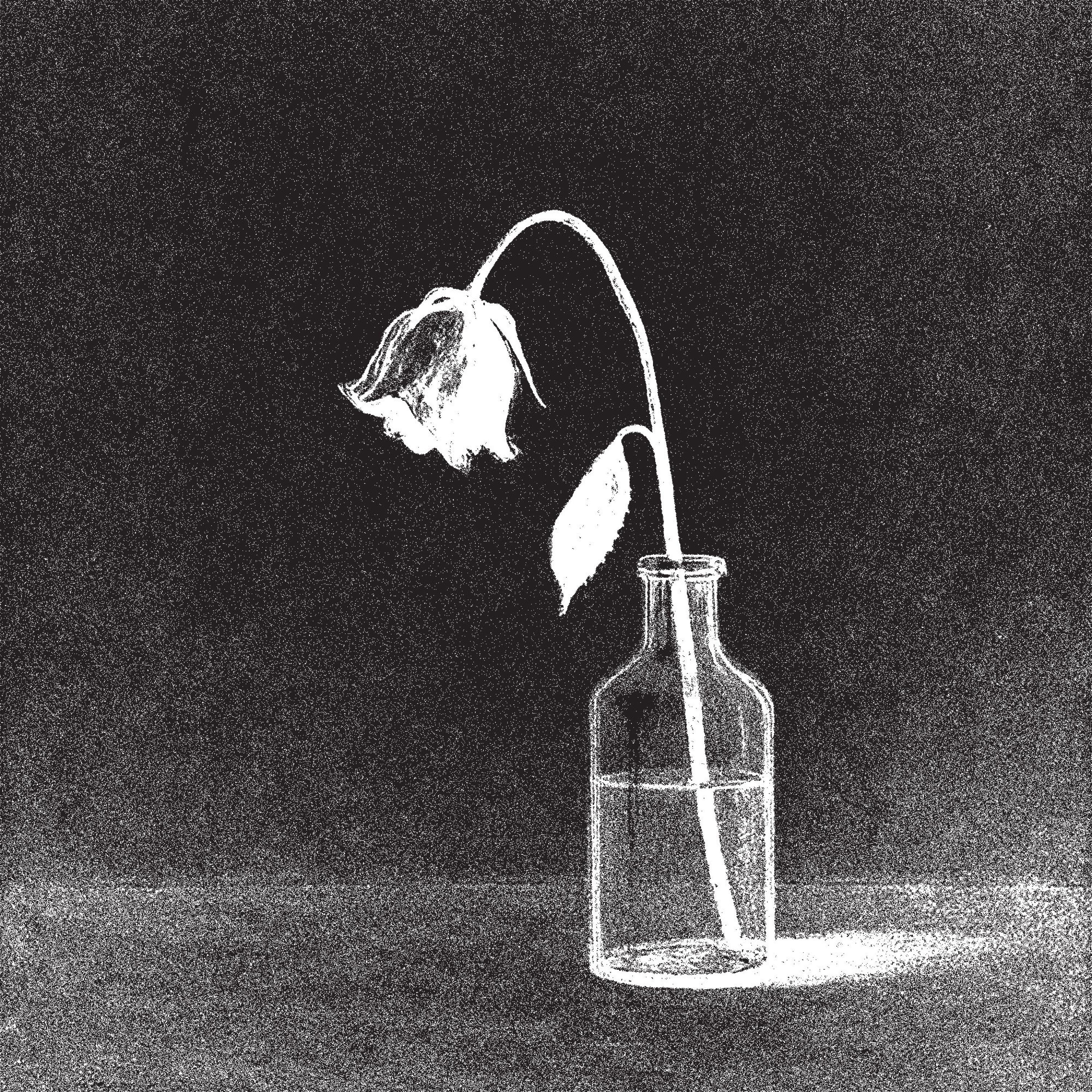 SOMBER - BACK TO BEING FRIENDS