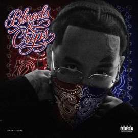 Bloods & Crips (feat. HELLMERRY, SCOOP DOGG, Jazz Chillin, Buddahbeads, Ejac & Gaspari) Shanti Dope
