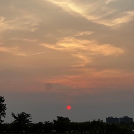 Red Sun ii, been.