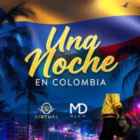Una noche en Colombia (feat. Md Musik) - Single - Dj Virtual