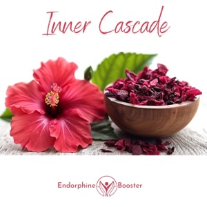 Inner Cascade - EP