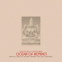Ocean of Remixes (feat. Sheela Bringi) - Earthtones