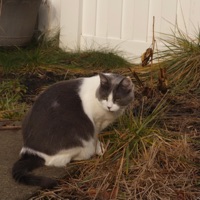 Autumn - Single - Reas & Punko