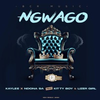 Kaylee_Ngwago (feat. NdonaSA, Kitty Boy & Lizer Girl) - Single - BEYOND CLICHE RECORDS