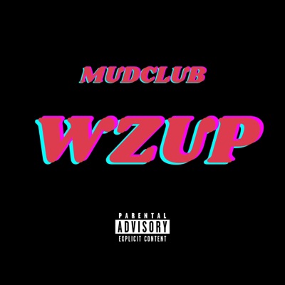 WZUP (feat. Loso Loaded, 4orever, Bally Ogún & Demon Sossa) - Single