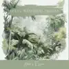 Gentle Rainforest